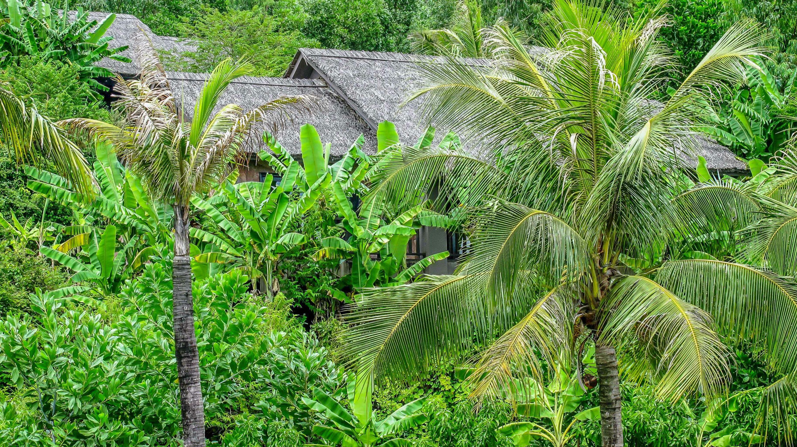 Verdana Lagoon 1