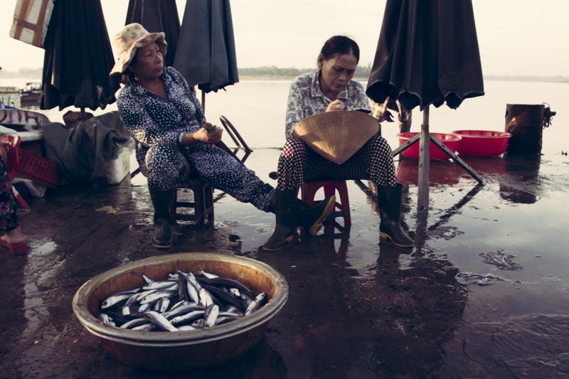 Hoi An Fish Market. Resting