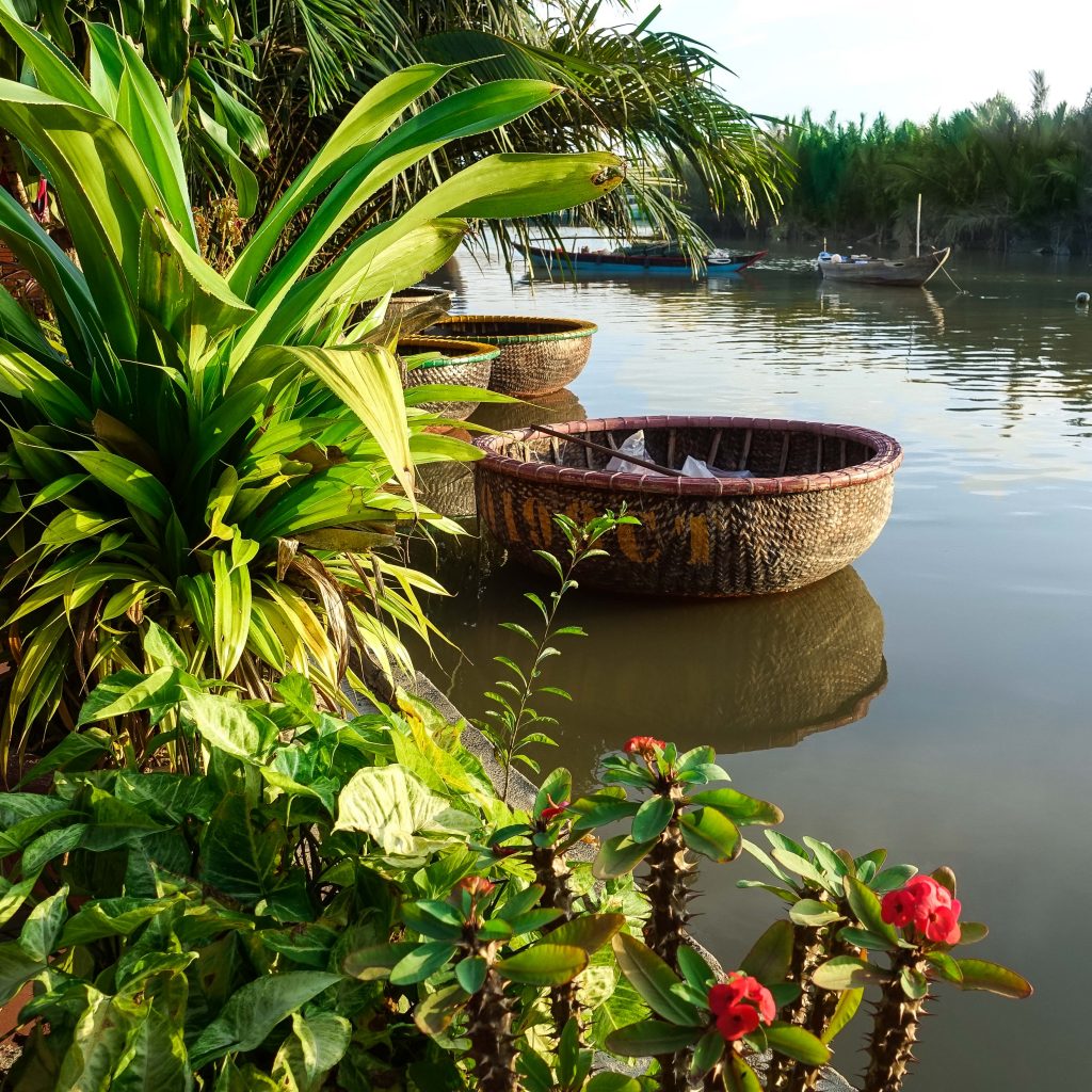 basket boats hoi an, nipa palms, coconut village, tours hoi an, da nang, vietnam