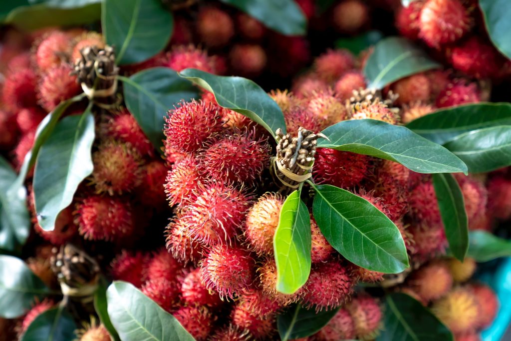 Image of rambutan fruit