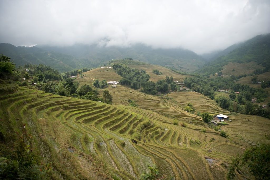Rice terraces in North Vietnam_opt